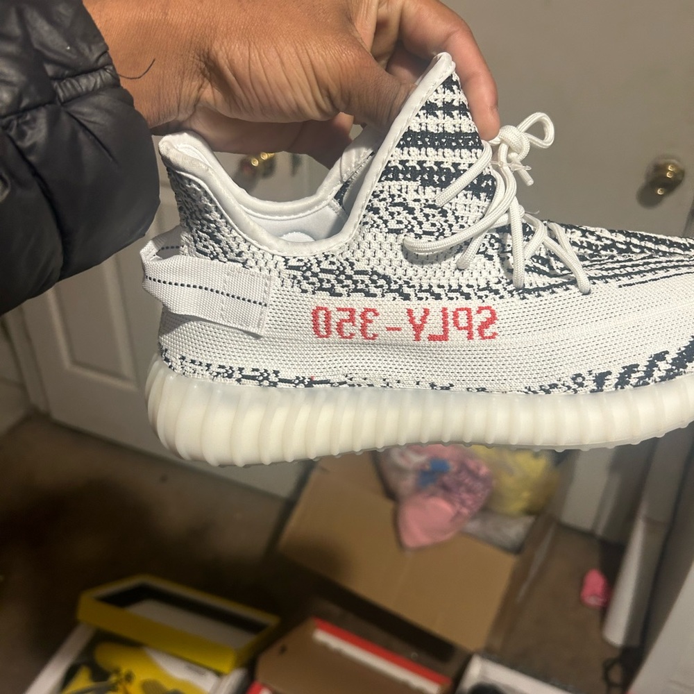 350 boost zebra